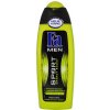 Fa sprchový gél MEN Sport Energy Boost 250 ml