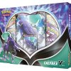 Pokémon TCG Sword & Shield Chilling Reign Shadow Rider Calyrex V Box