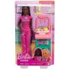 Barbie Doktorka s černými vlasy
