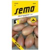 Cibuľa jarná Elista šalátová 1.5g SEMO