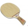 Donic Waldner Dotec AR