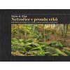 Netvořice v proudu věků - Václav G. Cílek