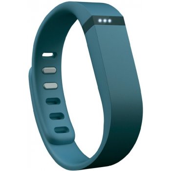 Fitbit Flex