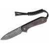 CIVIVI Fixed Blade Elementum Black Ebony Wood/Damascus C2105-DS1