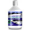 ČAGA ELIKSÍR s ČIERNYMI RÝBEZĽAMI 500ml