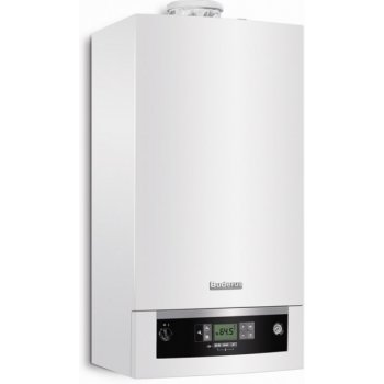 Viessmann Vitodens 100-W