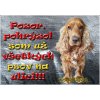 Pozorpes.sk, výstražná tabuľka (Kokršpaniel)