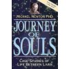 Journey of Souls