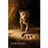 Plagát, Obraz - Leví kráľ - Simba, 61 × 91.5 cm