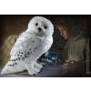 Harry Potter Sova Hedvika