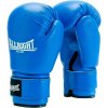 Boxerské rukavice Allright Training Pro 12 oz