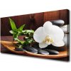 Obraz Canvas Kamene zen biela orchidea 100x50 cm