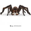 Schleich Aragog