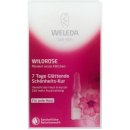 Weleda Skin Care ružový pleťový olej v ampulkách 7-dňová vyhladzujúca kúra ruža 7 x 0,8 ml