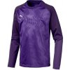 Puma cup Training core kids lila f10 656022-010