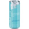 Red Bull The Winter Edition Iced Vanilla Berry 250 ml