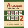 Anatómia ľudského tela 2 - Peter Mráz, Kamil Belej, Jozef Beňuška, Anna Holomáňová, Mária Macková, Jana Šteňová