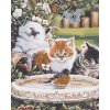ZUTY Maľovanie podľa čísel - MAČIATKA A VTÁČIKY Rámovanie: vypnuté plátno na rám, Rozmer: 80x100 cm
