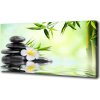 Moderný obraz canvas na ráme Plumeria a bambus 100x50 cm
