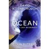 Ocean - Earth's Last Wilderness