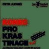Konec prokrastinace CD audio kniha - Ludwig Petr
