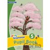Grammar 5 Pupil Book n print letters