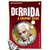 Introducing Derrida (Jeff Collins)(Brožovaná)