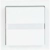 Busch-Jaeger 2CKA006800A2913