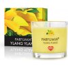 Votívna sójová eko sviečka YLANG YLANG PARFUMIA