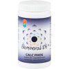 Calcarea phosporica – Schüsslerova bunková soľ č.2 Biomineral D6