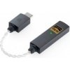 iFi audio Go link