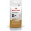 Royal Canin Maine Coon ADULT 13 kg - krmivo pre dospelé mačky plemena Maine Coon