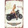 Retro ceduľa Harley Davidson Military 20x30cm (Kovová tabuľa na stenu - materiál: plech)