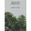 Advent – Krokmi k Ježišovi - Anna Berthotyová
