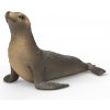 Schleich Lachtan OLP102614933