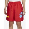 Nike Sportswear Sport Essentials+ M