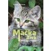 Mačka divá – lovec špecialista - Ivan Kňaze