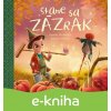 E-kniha Stane sa zázrak - Zuzana Štelbaská, Adrián Macho (ilustrátor)