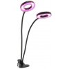Kobi LED stolná lampa s klipom pre pestovanie VITARO 2xLED/4W/230V čierna KB0545 + záruka 3 roky zadarmo + záruka 3 roky zadarmo