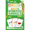 English for Everyone Junior - Dorling Kindersley