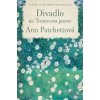 Divadlo na Tomovom jazere - Patchettová Ann