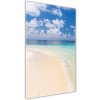 Vertikálny foto obraz fotografie na skle Pláž Malediny 50x100 cm