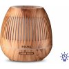 Siguro AD-F300LW Anise Swallowtail