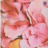 CD Still Life: Still Life LTD