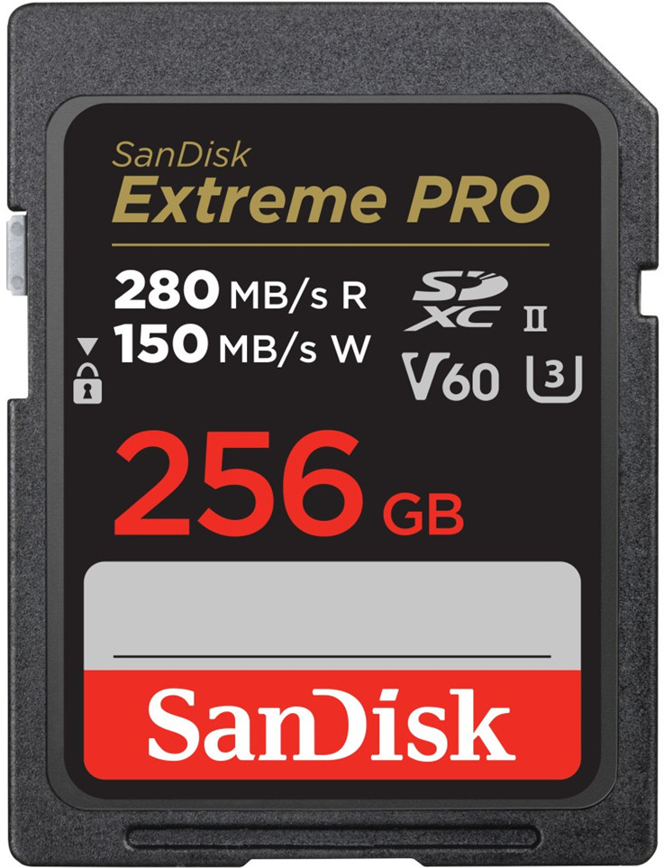 SanDisk UHS-II 6 GB SDSDXEP-256G-GN4IN