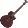 Ibanez AE100-BUF