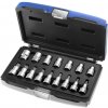 TONA EXPERT E032907 16 dílná sada 1/2 hlavic TORX