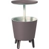 KETER Chladiaci stolík Cool Bar rattan hnedý 521 17194548