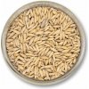 SLAD OVSENÝ Crisp Naked Oat Malt - 1KG