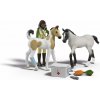 Schleich Lekárnička Sarah 42777 4069111190105
